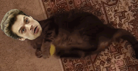 ɥĲqqЦgif