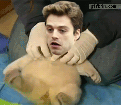 ɥĲqqЦgif