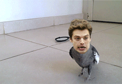 ɥĲqqЦgif
