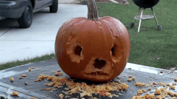 ڹڿгϹ