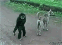 Ļ滸Ц̬ͼ
