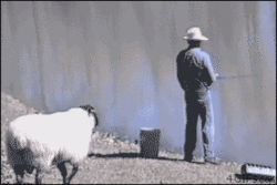 Ļ滸Ц̬ͼ