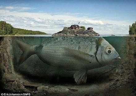ɽĪˮ