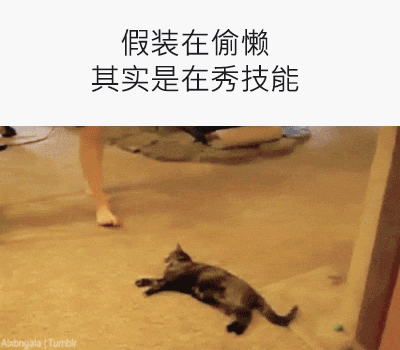 Ƿ˺ĸЦgif