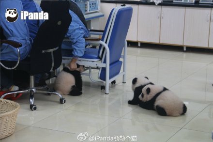 èɰЦͼ