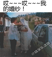 γ̬ܶͼ