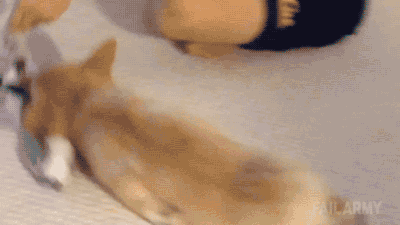 ɹЦ̬ͼ