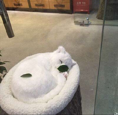 ˸ЦͼƬ