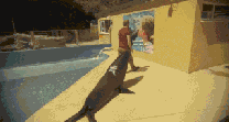ȶЦ̬ͼ