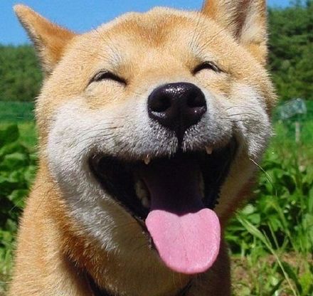 ЦͼƬ