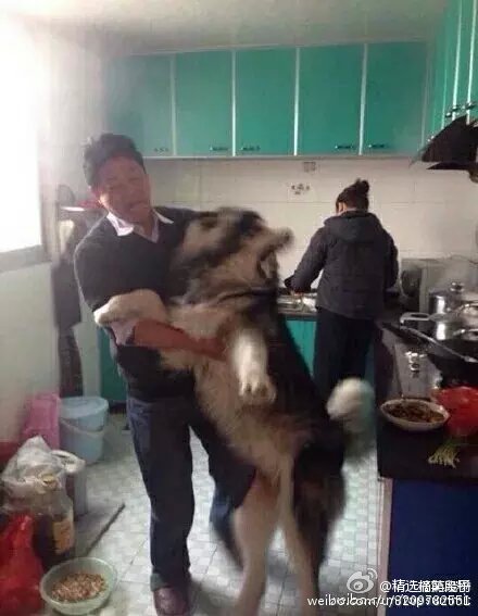ЦͼƬ