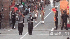 Цgif