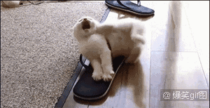 Цgif