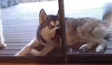 ʿЦͼ