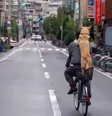 빷ܰͼƬ