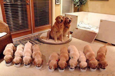 аĹbaby