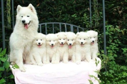 аĹbaby