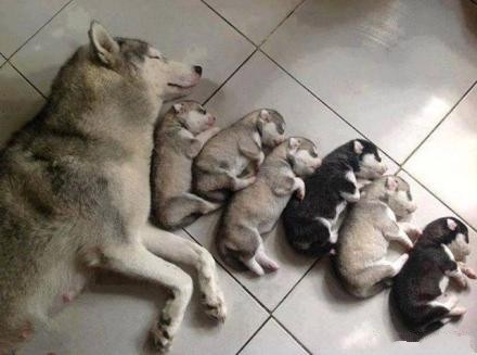 аĹbaby