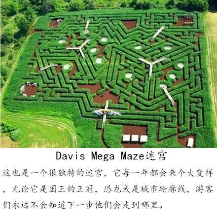 davis mega mazeԹ