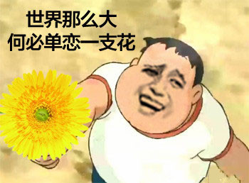 ô
