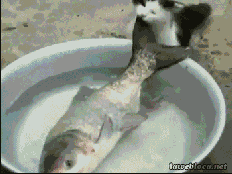 ʾ