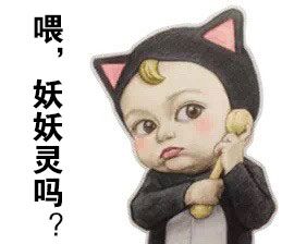 Let\s go Sadayuki