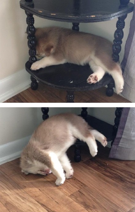 èЦ˯ͼƬ