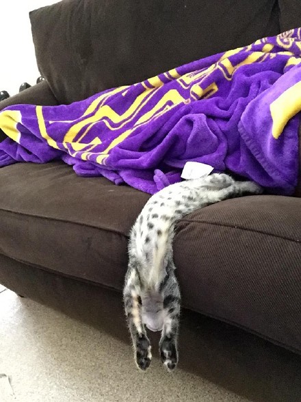 èЦ˯ͼƬ