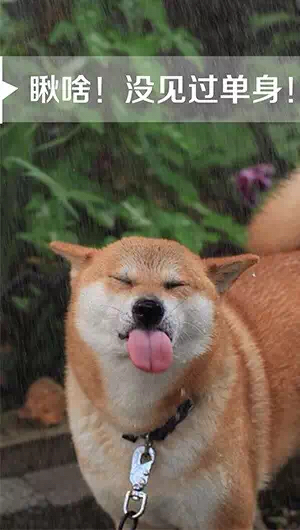 ЦͼƬ