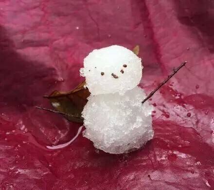˶ѵѩ˸Цͼ