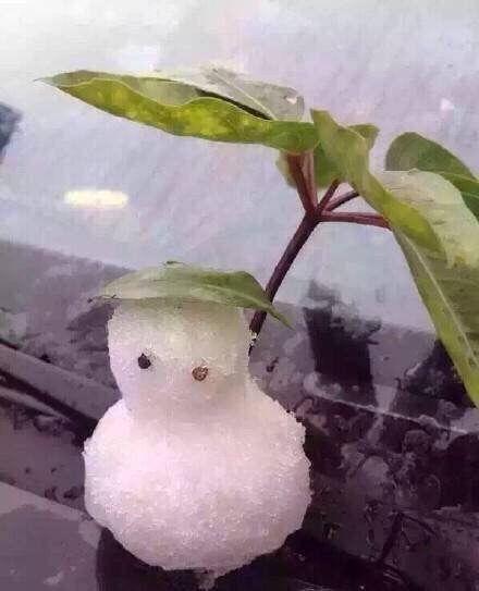 ˶ѵѩ˸Цͼ