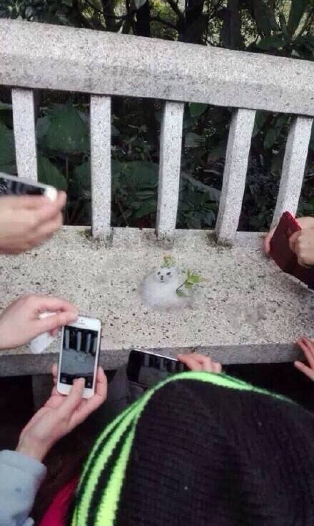 ˶ѵѩ˸Цͼ