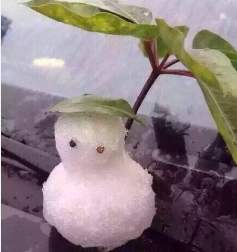 ˶ѵѩ˸Цͼ