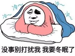 Ц