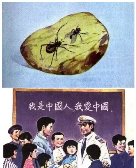 СѧĿͼ