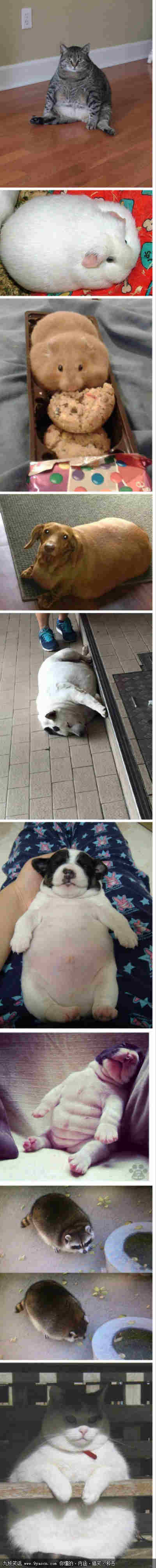 괺ڵЦͼ