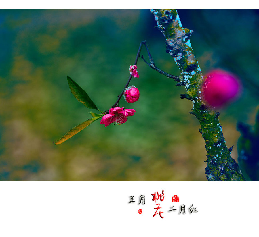 һͼƬ