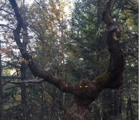 вŶЦͼ