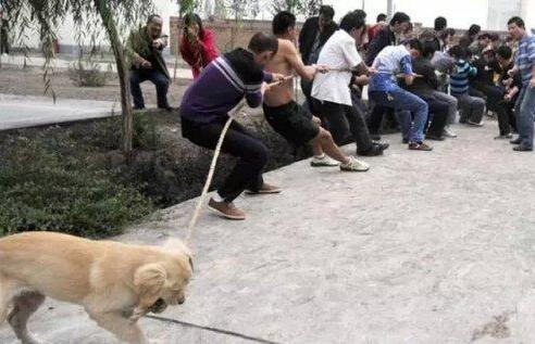 κӸЦͼƬ