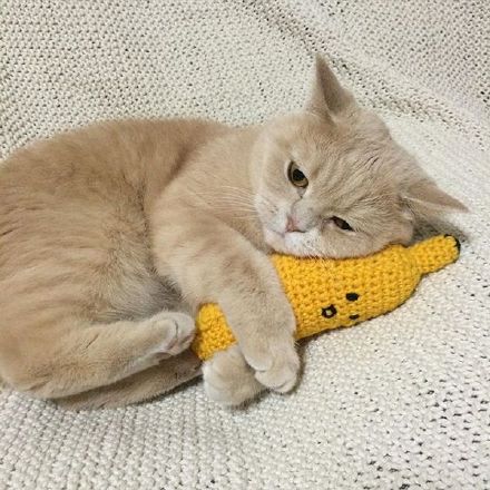 è͵ԸЦͼ