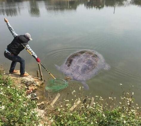 ڹЦͼƬ