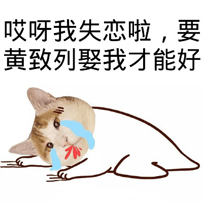 qq