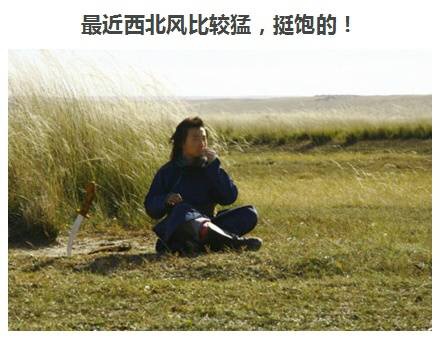 һ仰֤