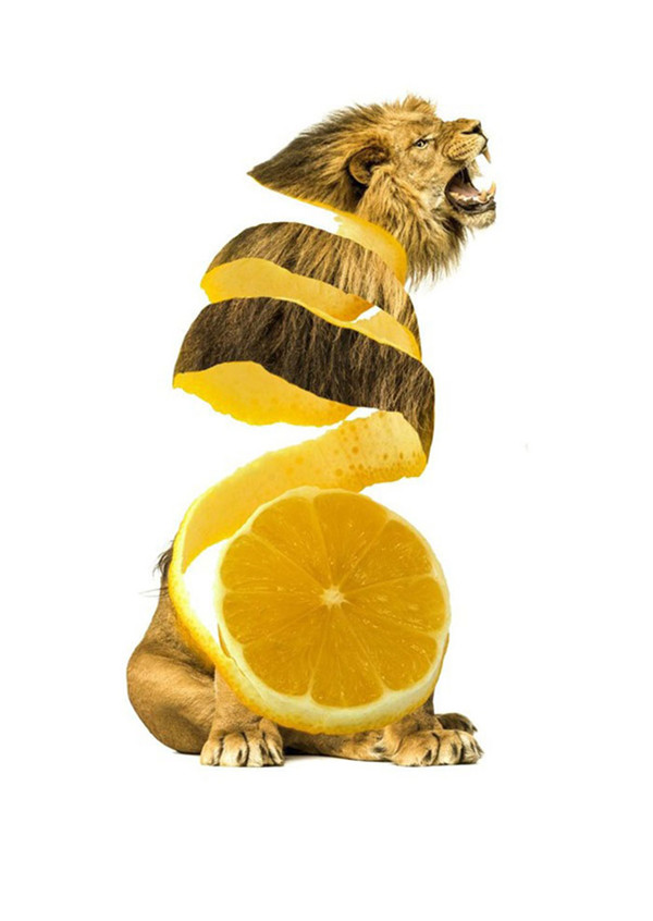 ߹Ļӽ
