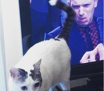 èûƨ