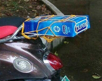 ȥĶô