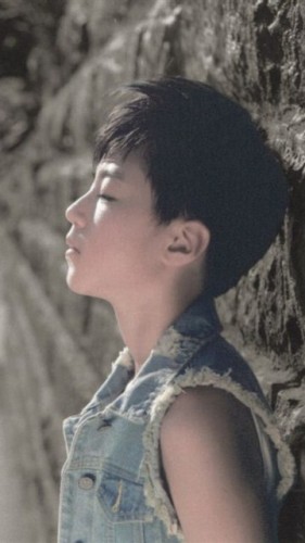 TFBoysͼƬ