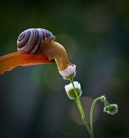 ţΨͼƬ