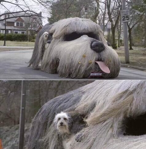 Цͼ