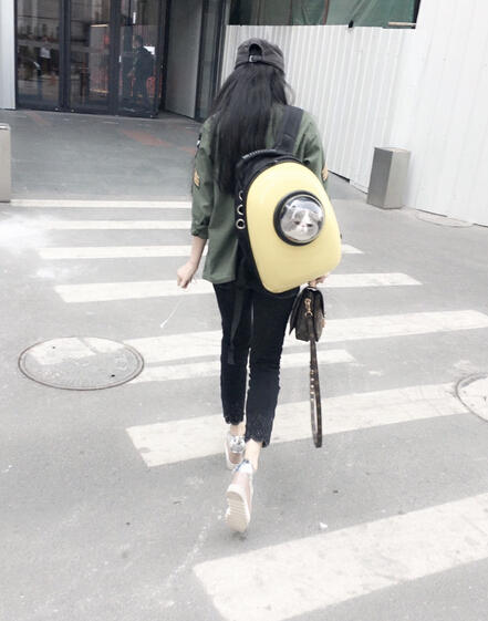 èڰèȷˡ
